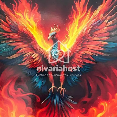 Ave Fenix San Isidro, By Nivariahost San Isidro (Tenerife)