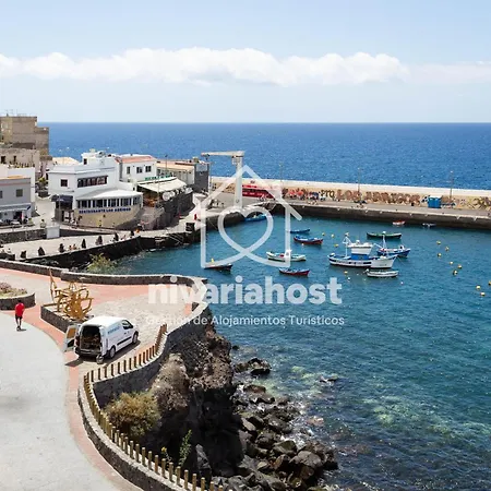 Ave Fenix San Isidro, By Nivariahost San Isidro (Tenerife)